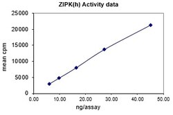Eurofins DiscoverX ZIPK Protein, Active 10 &mu;g | Buy Online | Eurofins DiscoverX | Fisher Scientific